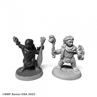 Reaper | Halfling Druid and River Witch Dungeon Dwellers | 28mm Plastic Blister Pack 07105