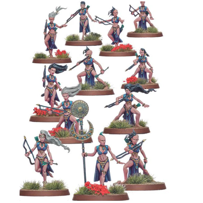 Shieldwolf Miniatures | Aravises Archers / Charemises Swords | 28mm Plastic Unit