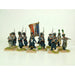 Victrix | Napoleonic Napoleon's Old Guard Grenadiers | 28mm Plastic Unit | North Star Games | Miniature Kingdoms