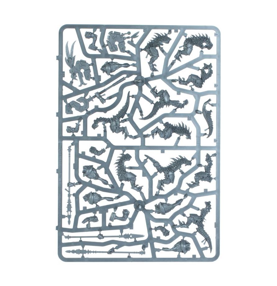 Seraphon - Saurus Warriors | Sprue in a Bag | £29 | Code X99