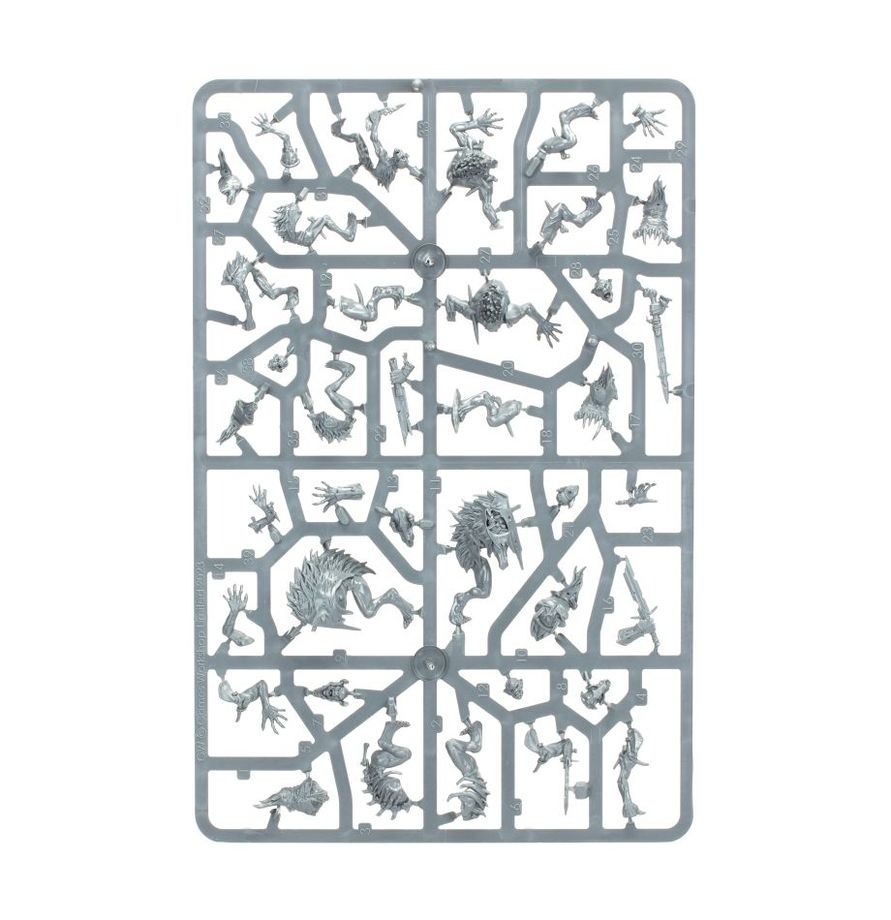 Flesh Eater Courts - Royal Beastflayers | Sprue in a Bag | £28 | Code Y54