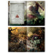 Age of Sigmar | Path to Glory | Blighted Wilds | Hardback Sourcebook