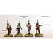 Perry Miniatures | Napoleonic Wars French Infantry Elite Companies 1807-1814 | 28mm Plastic Unit | North Star Games | Miniature Kingdoms