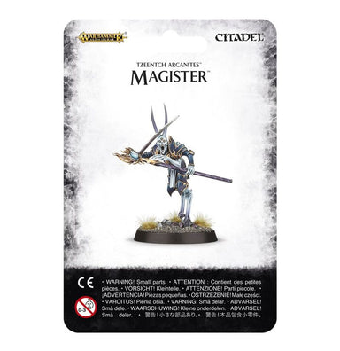 Age of Sigmar | Disciples of Tzeentch | Magister | Plastic Character Blister Pack