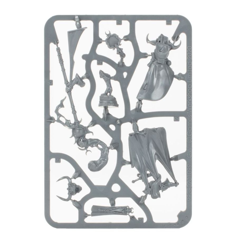 Hedonites OF Slaanesh - Shardspeaker | Sprue in a Bag | £15 | Code Y55