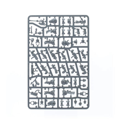 Chaos Space Marine Legionaires 10 | Sprue in a Bag | £30 | Code Y29