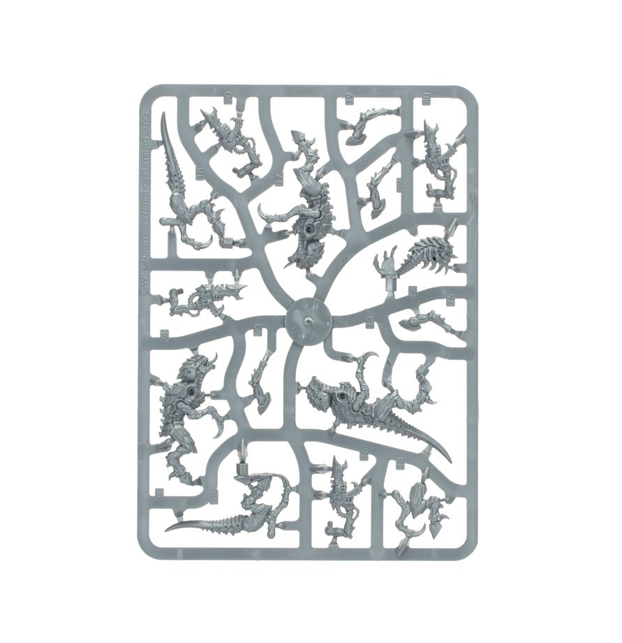 Tyranids - Termagants | Sprue in a Bag | £12 | Code Y75
