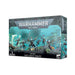 Warhammer 40,000 | Aeldari | Harlequins | Plastic Unit Box