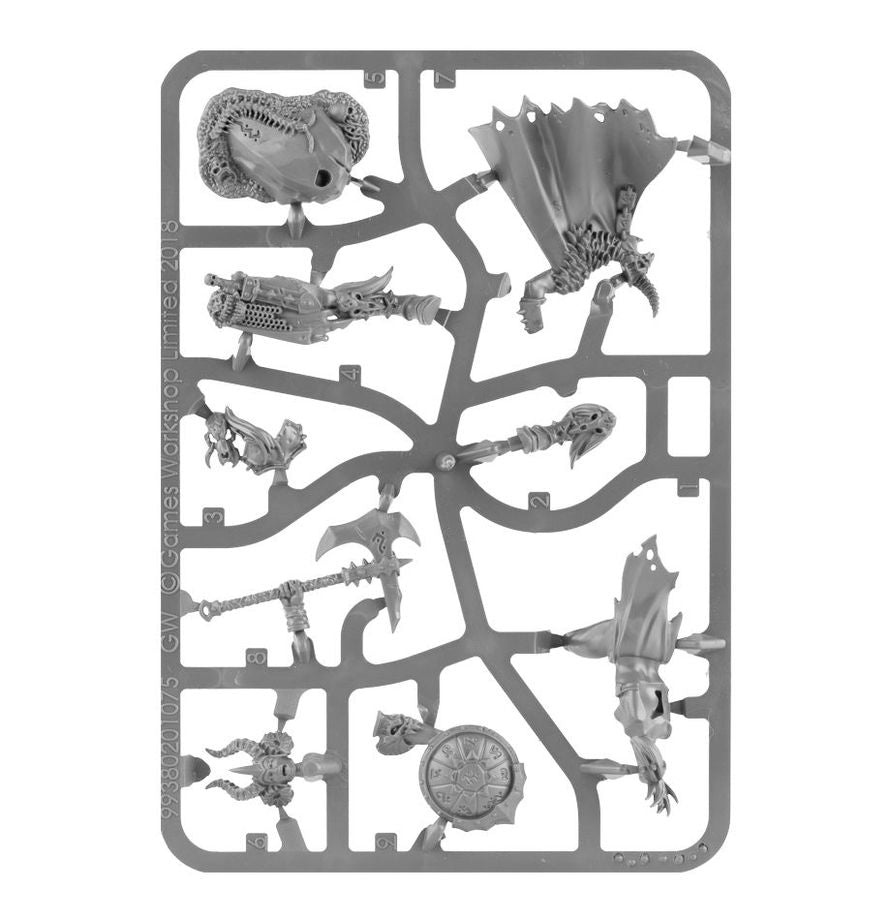 Slaves to Darkness Darkoath War Queen | Sprue in a Bag | £19 | Code X96