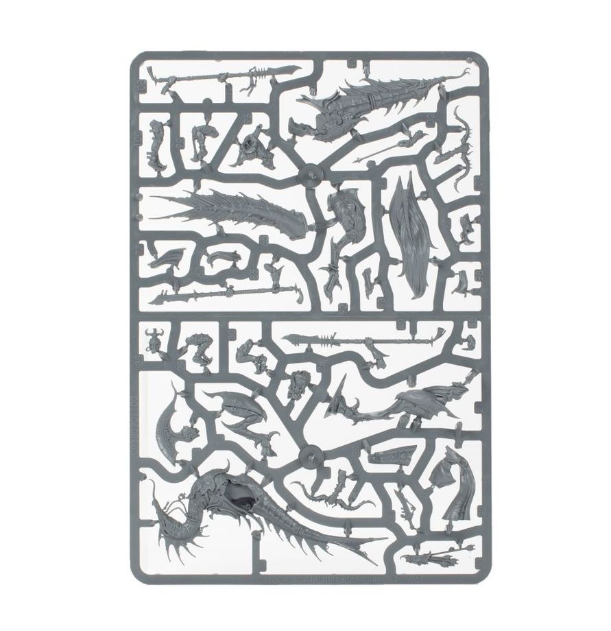 Hedonites Of Slaanesh - Slickblade Seekers | Sprue in a Bag | £30 | Code Y56