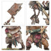 Age of Sigmar | Maggotkin of Nurgle | Pestigors | Plastic Unit Box