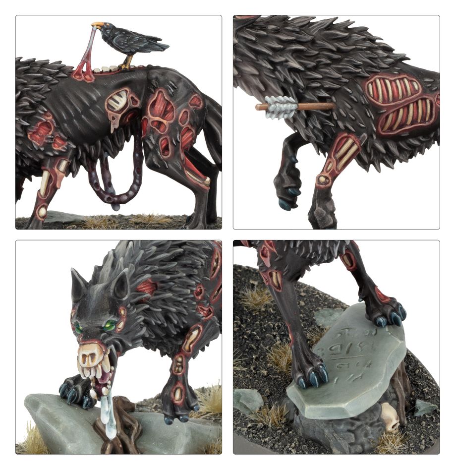 Age of Sigmar | Soulblight Gravelords | Dire Wolves | Plastic Unit Box