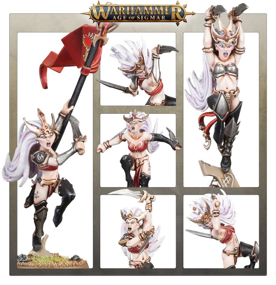 Age of Sigmar | Daughters of Khaine | Witch Aelves | Plastic Unit Box