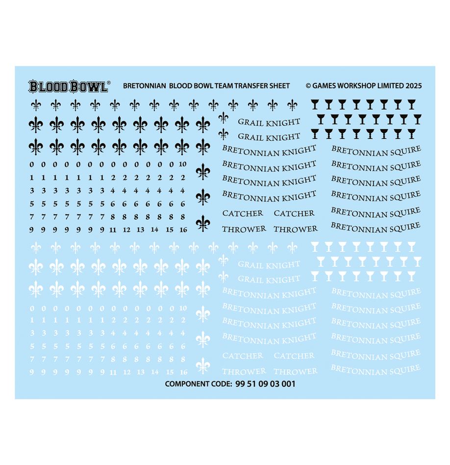 Blood Bowl | Bretonnian Team | The Brionne Barons | Plastic Team