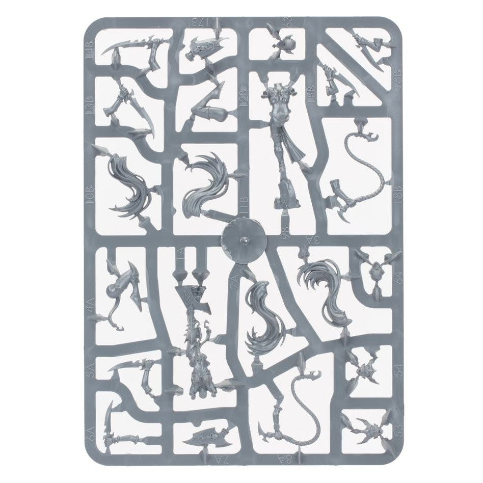 Age of Sigmar | Daughters of Khaine | Witch Aelves | Plastic Unit Box