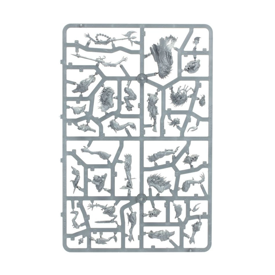 Age of Sigmar | Flesh Eater Courts | Spearhead | Charnel Watch | Plastic Starter Box