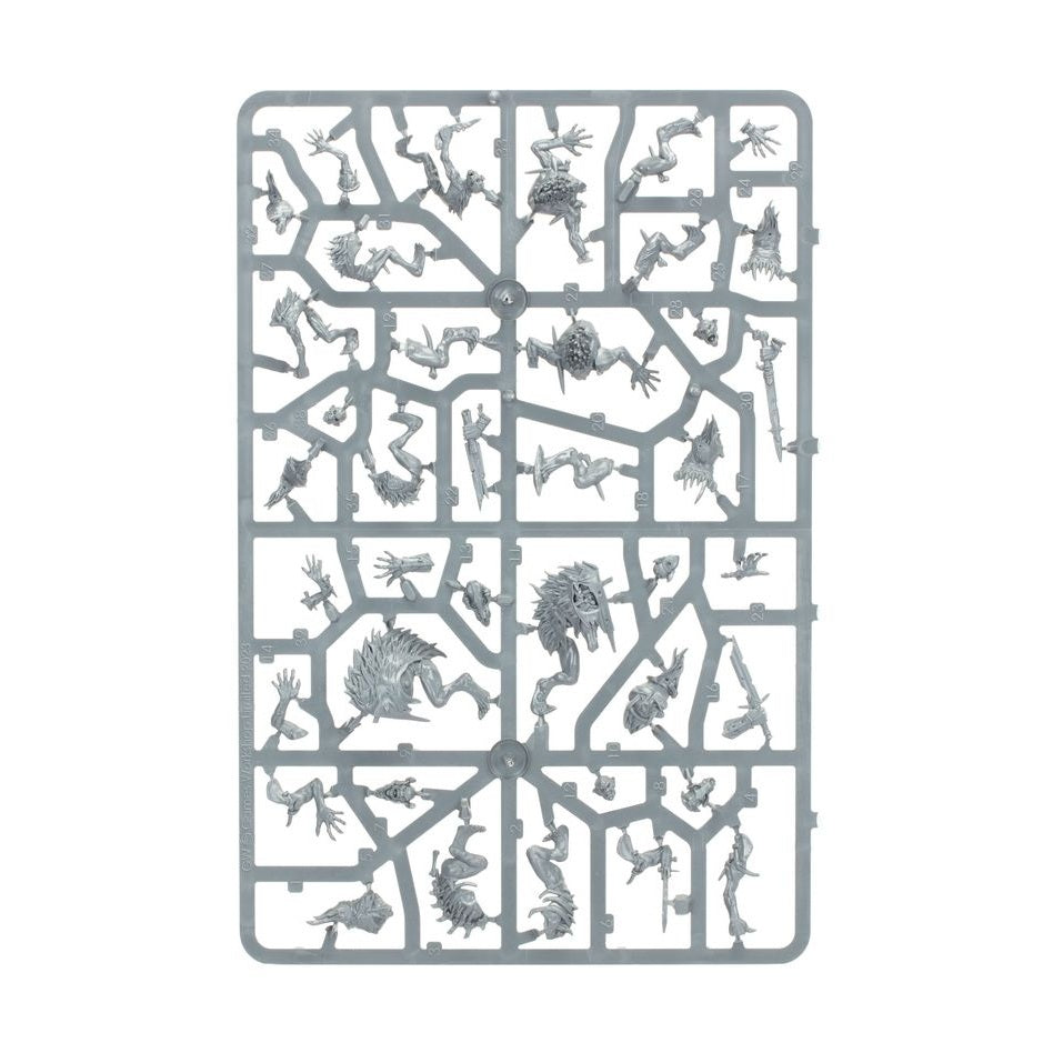 Age of Sigmar | Flesh Eater Courts | Spearhead | Charnel Watch | Plastic Starter Box