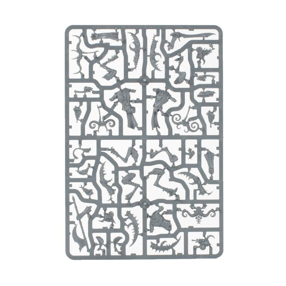 Age of Sigmar | Hedonites Of Slaanesh | Spearhead | Plastic Starter Box