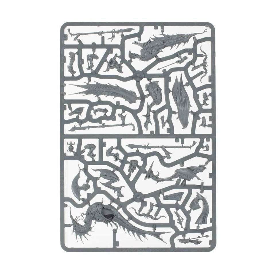 Age of Sigmar | Hedonites Of Slaanesh | Spearhead | Plastic Starter Box