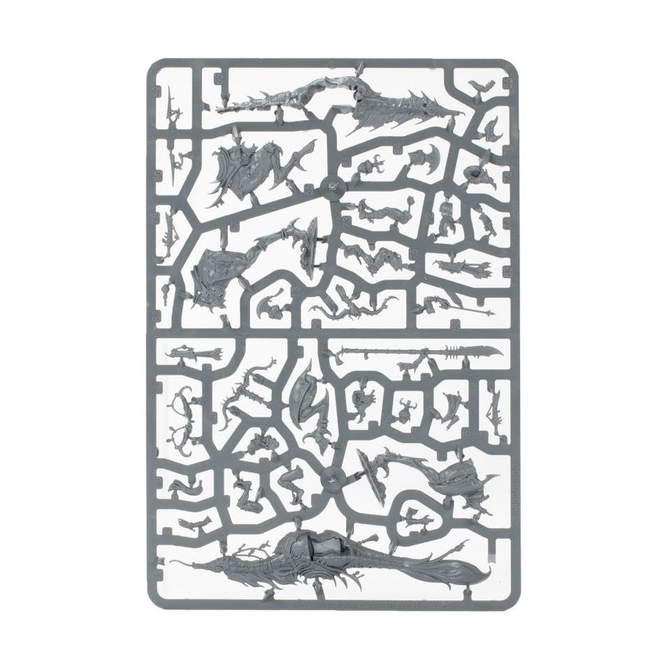 Age of Sigmar | Hedonites Of Slaanesh | Spearhead | Plastic Starter Box