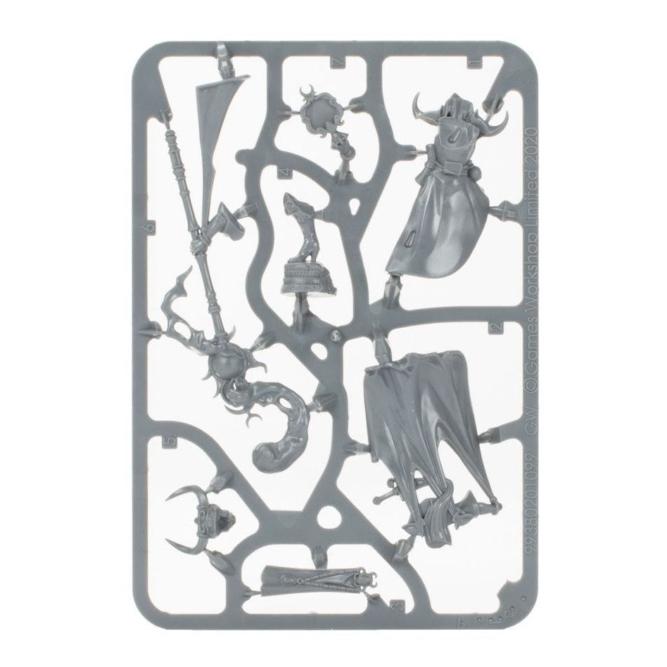 Age of Sigmar | Hedonites Of Slaanesh | Spearhead | Plastic Starter Box