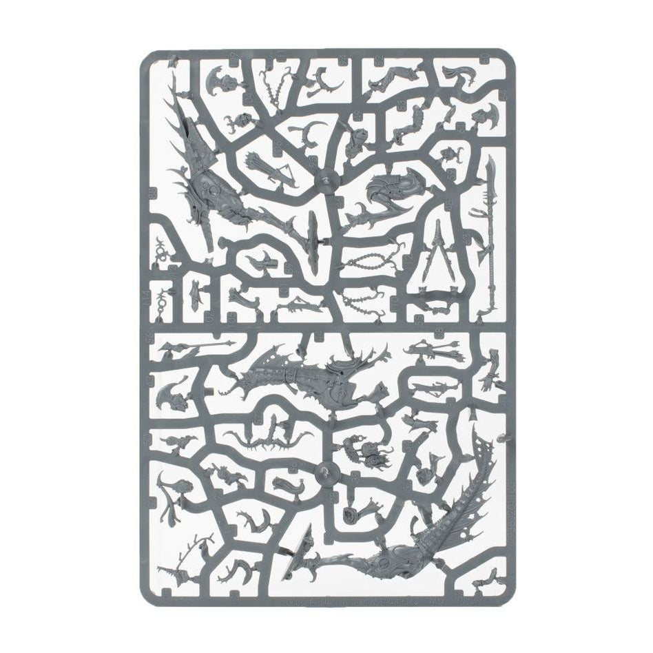 Age of Sigmar | Hedonites Of Slaanesh | Spearhead | Plastic Starter Box