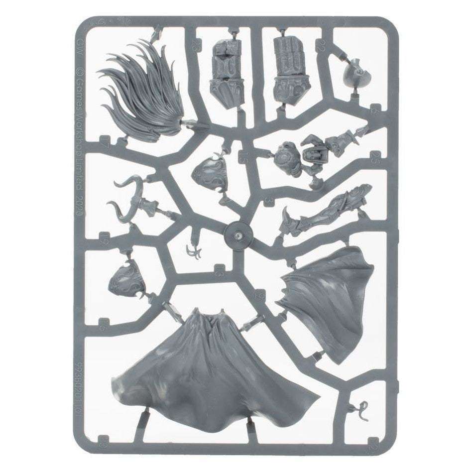 Age of Sigmar | Hedonites of Slaanesh | Sigvald, Prince of Slaanesh | Plastic Unit Box