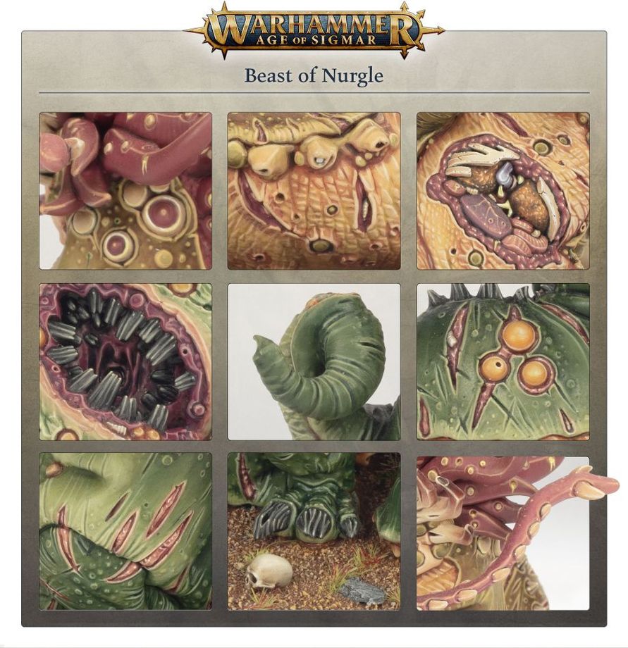 Age of Sigmar | Maggotkin of Nurgle | Beast of Nurgle | Plastic Unit Box