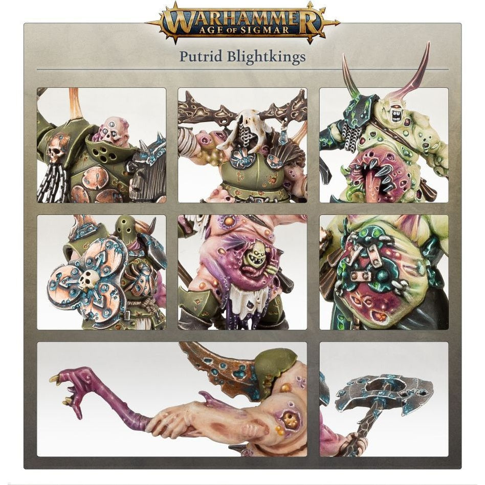 Age of Sigmar | Maggotkin of Nurgle | Putrid Blightkings | Plastic Starter Box