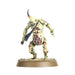 Age of Sigmar | Maggotkin of Nurgle | Spearhead | Plastic Starter Box