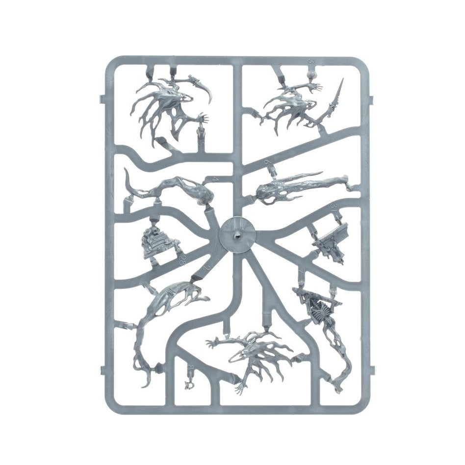 Age of Sigmar | Nighthaunt | Spirit Hosts | Plastic Unit Box