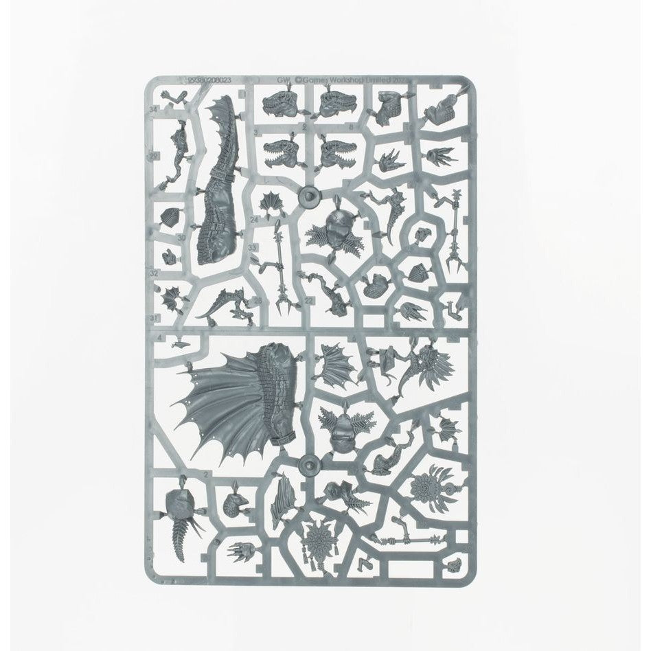 Age of Sigmar | Seraphon | Spearhead | Sunblood Prowlers | Plastic Starter Box