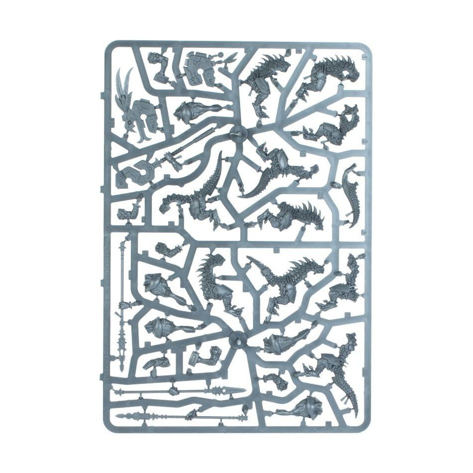 Age of Sigmar | Seraphon | Spearhead | Sunblood Prowlers | Plastic Starter Box