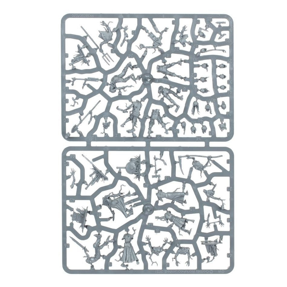 Age of Sigmar | Soulblight Gravelords | Deadwalker Zombies | Plastic Unit Box