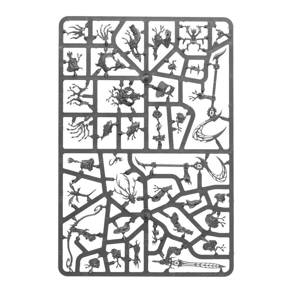 Age of Sigmar | Sylvaneth | Kurnoth Hunters | Plastic Unit Box