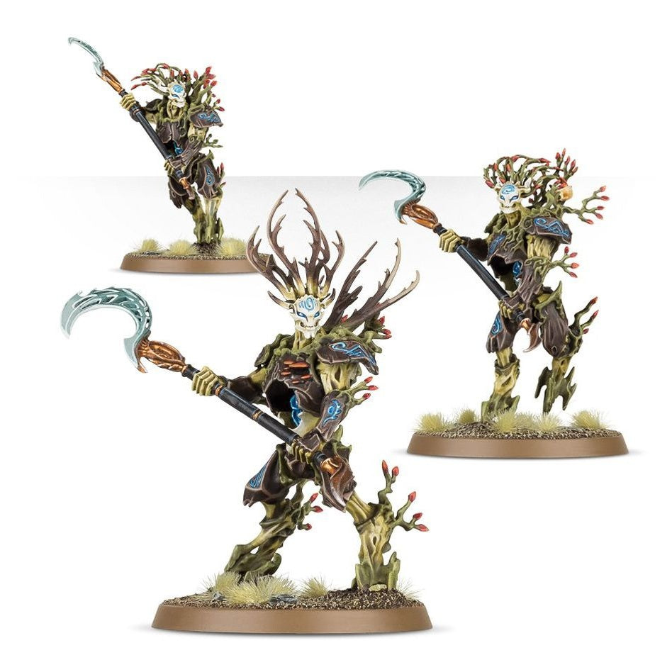 Age of Sigmar | Sylvaneth | Kurnoth Hunters | Plastic Unit Box