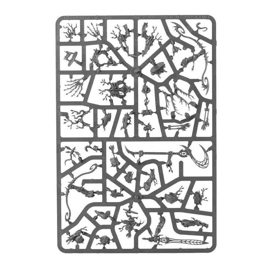 Age of Sigmar | Sylvaneth | Kurnoth Hunters | Plastic Unit Box