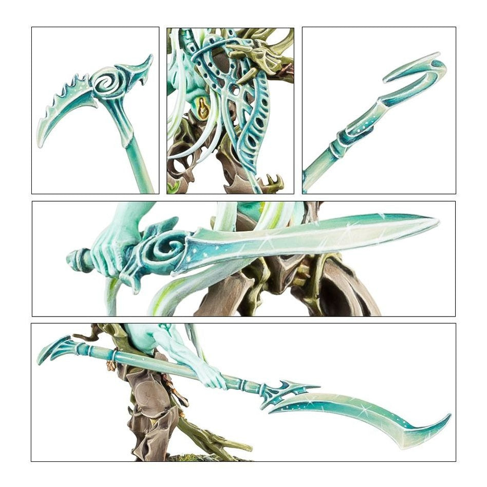 Age of Sigmar | Sylvaneth | Tree - Revenants | Plastic Unit Box