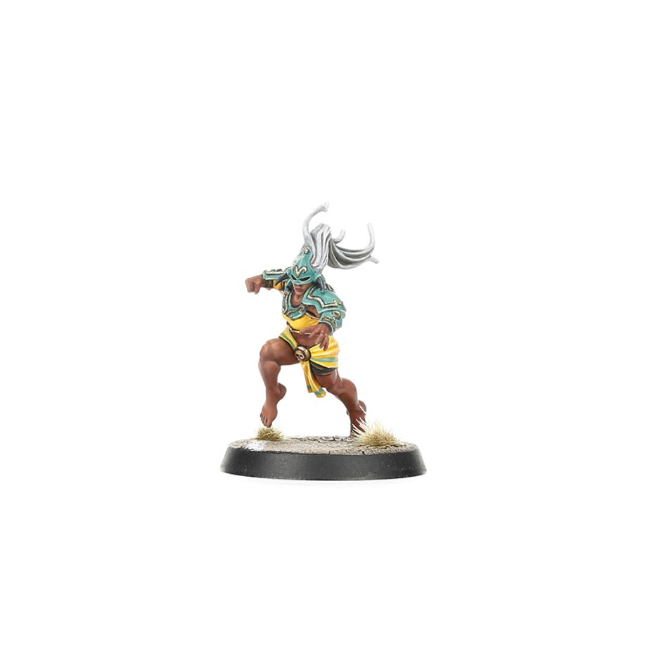 Blood Bowl | Amazon Team | Kara Temple Harpies | Plastic Team