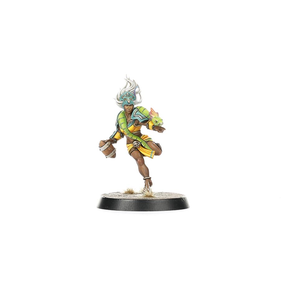 Blood Bowl | Amazon Team | Kara Temple Harpies | Plastic Team