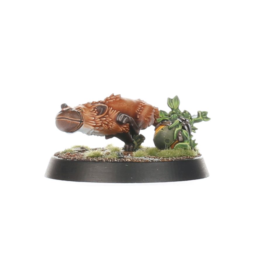 Blood Bowl | Gnome Team | Glimwarror Groundhogs | Plastic Team