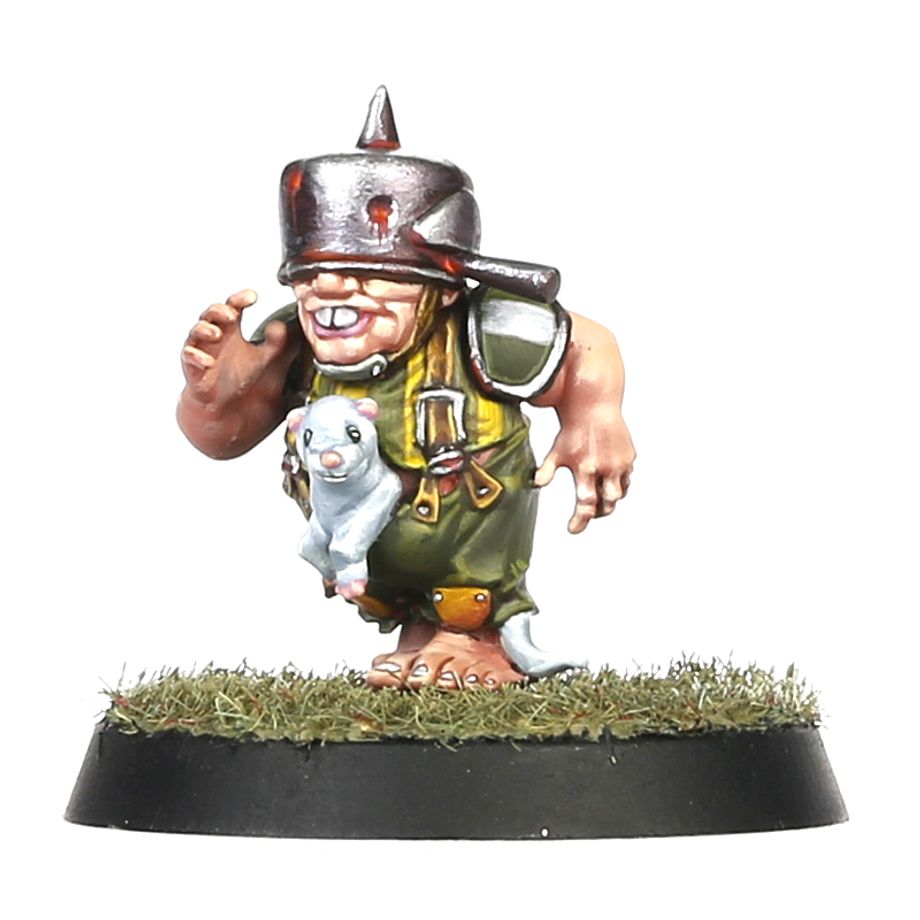 Blood Bowl | Halfling Team | Greenfield Grasshuggers | Plastic Team