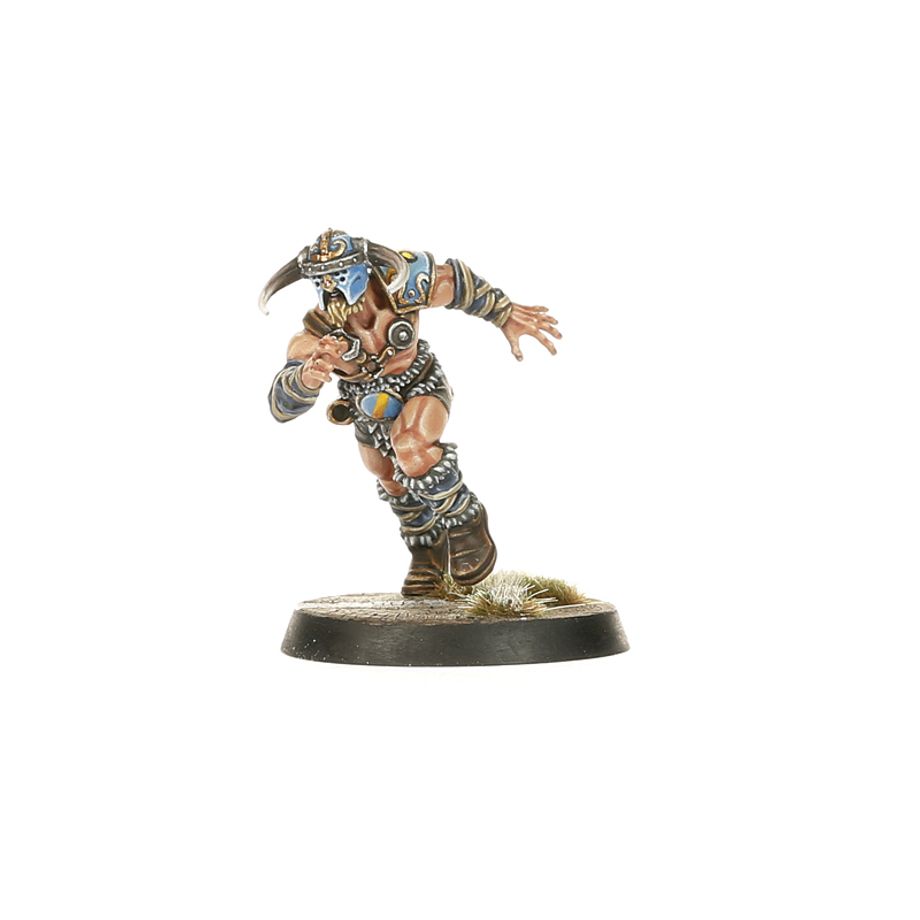 Blood Bowl | Norse Team | Norsca Rampagers | Plastic Team
