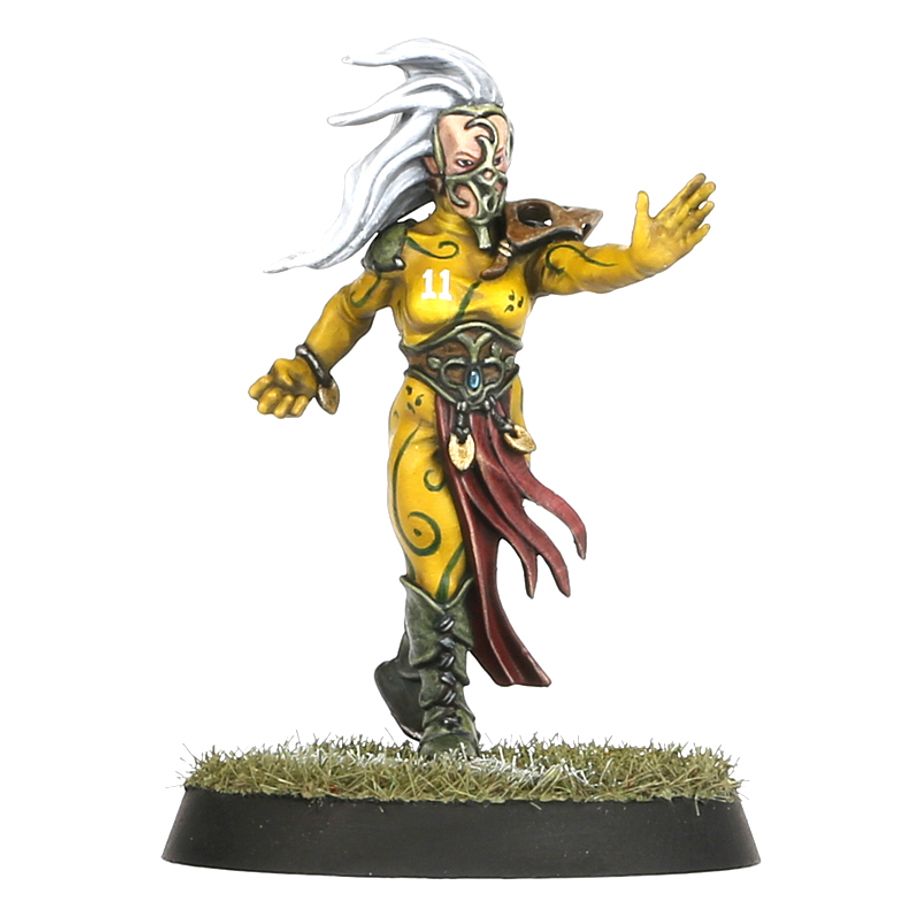 Blood Bowl | Woof Elf Team | Athelorn Avengers | Plastic Team
