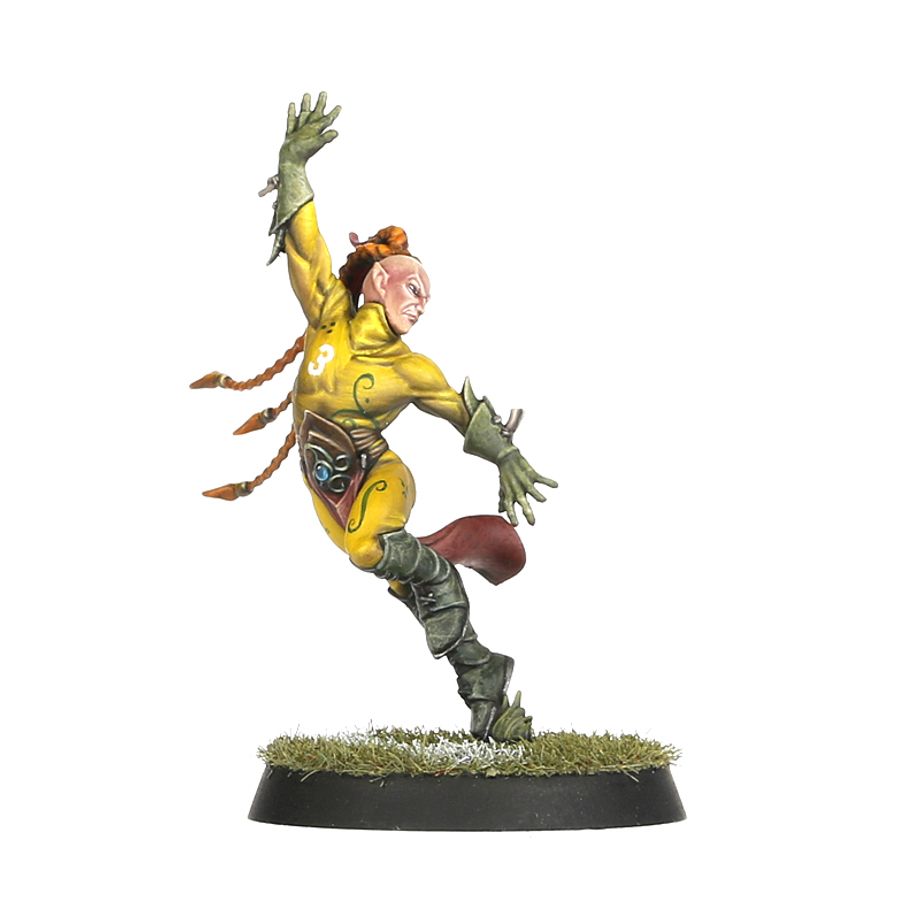 Blood Bowl | Woof Elf Team | Athelorn Avengers | Plastic Team