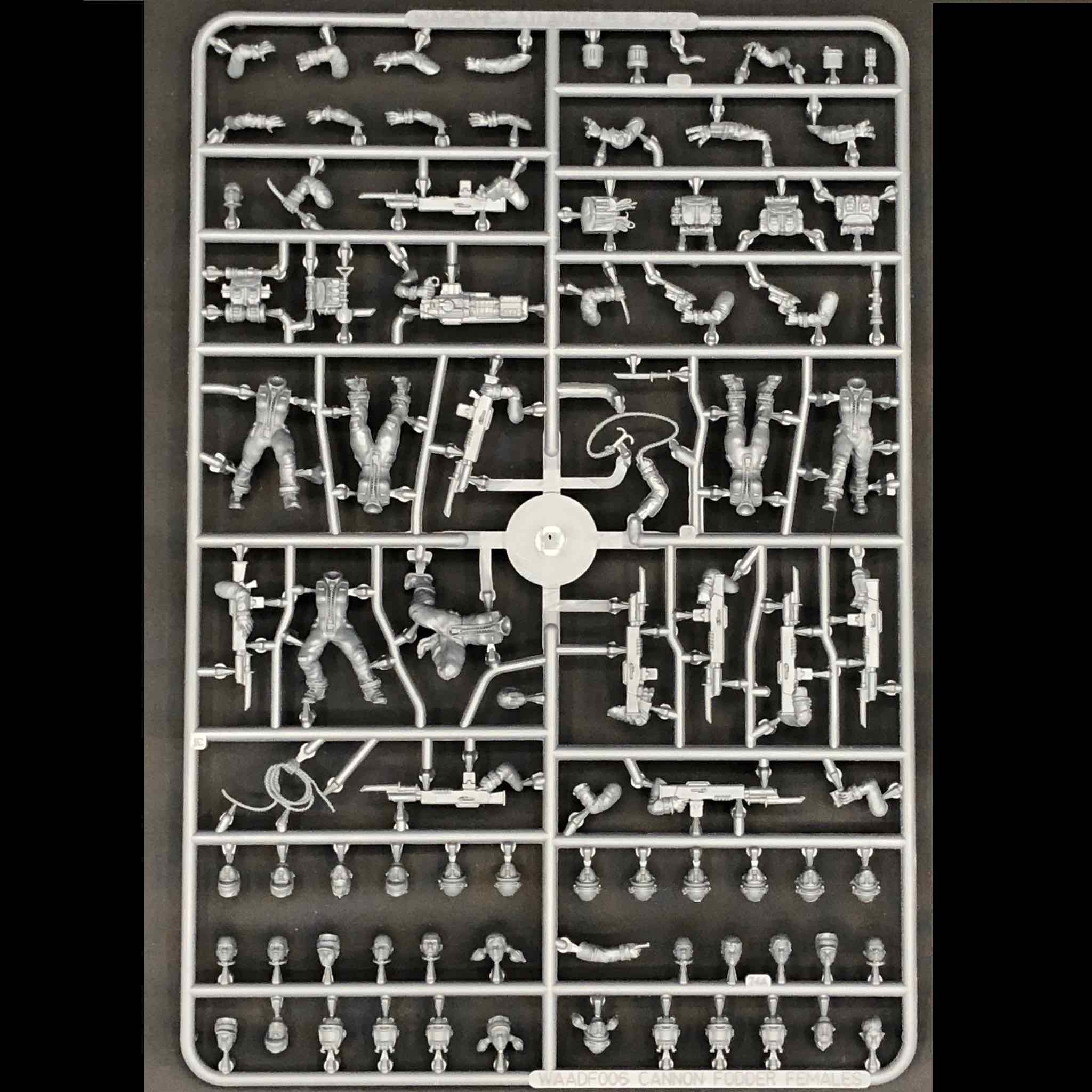 Death Fields | Cannon Fodder 2 Females | Plastic Unit | Wargames Atlantic | Miniature Kingdoms