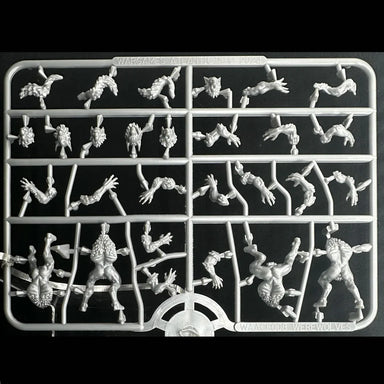 Wargames Atlantic | Classic Fantasy | Werewolves | Single Sprue