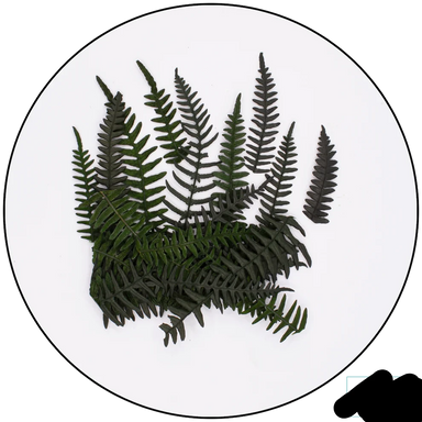 Geek Gaming | Preserved Fern Leaves Small | 28mm Plants