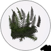 Geek Gaming | Preserved Fern Leaves Small | 28mm Plants