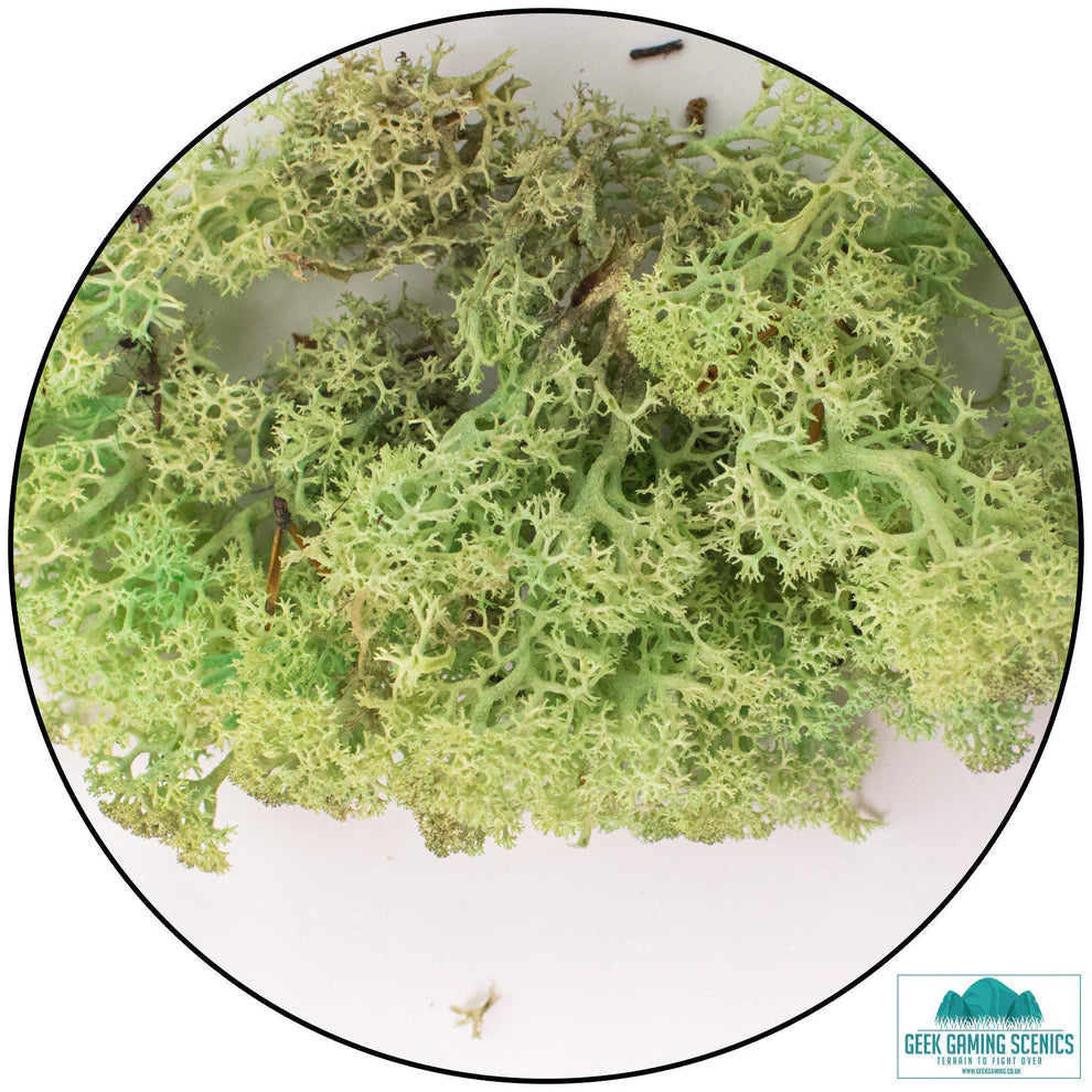 Geek Gaming | Mint Green Lichen | 28mm Lichen | Geek Gaming | Miniature Kingdoms